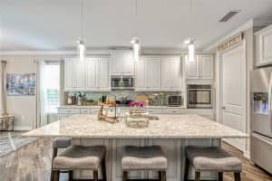 3532 WICKET FIELD ROAD, LUTZ, FL 33548 - MLS#MFRTB8474410