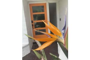 812 13TH AVENUE, NEW SMYRNA BEACH, FL 32169 - MLS#MFRTB8474418