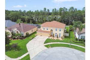 21511 WILDERNESS LAKE BOULEVARD, LAND O LAKES, FL 34637 - MLS#MFRTB8474426