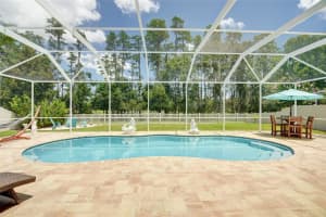 21511 WILDERNESS LAKE BOULEVARD, LAND O LAKES, FL 34637 - MLS#MFRTB8474426