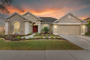 8204 GINGER PINE WAY, TAMPA, FL 33647 - MLS#MFRTB8474439