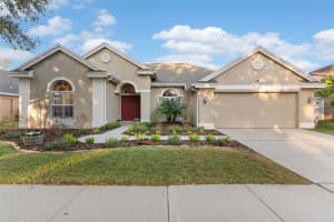 8204 GINGER PINE WAY, TAMPA, FL 33647 - MLS#MFRTB8474439