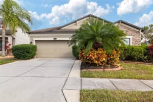 11528 PALMETTO PINE STREET, RIVERVIEW, FL 33569 - MLS#MFRTB8474492