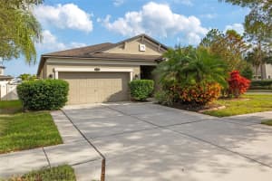 11528 PALMETTO PINE STREET, RIVERVIEW, FL 33569 - MLS#MFRTB8474492