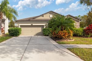 11528 PALMETTO PINE STREET, RIVERVIEW, FL 33569 - MLS#MFRTB8474492