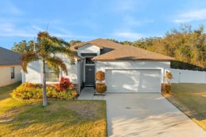 13230 WELLINGTON HILLS DRIVE, RIVERVIEW, FL 33579 - MLS#MFRTB8474499