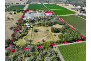 20112 Hobbs Rd, WIMAUMA