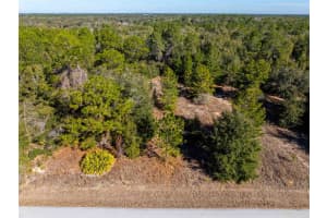 1737 WESTGATE LANE, HERNANDO, FL 34442 Sold 03/03/26