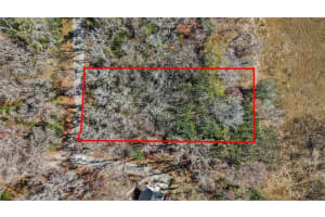 23126 FITZHUGH AVENUE, BROOKSVILLE, FL 34601 - MLS#MFRTB8474515