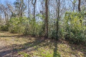 23126 FITZHUGH AVENUE, BROOKSVILLE, FL 34601 - MLS#MFRTB8474515