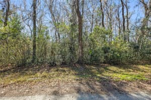 23126 FITZHUGH AVENUE, BROOKSVILLE, FL 34601 - MLS#MFRTB8474515