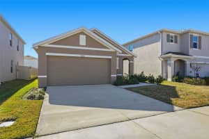 33358 REGENT CANAL STREET, WESLEY CHAPEL, FL 33545 - MLS#MFRTB8474548