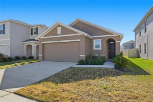 33358 REGENT CANAL STREET, WESLEY CHAPEL, FL 33545 - MLS#MFRTB8474548