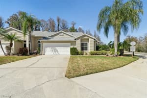 1745 HERON COVE DRIVE, LUTZ, FL 33549 - MLS#MFRTB8474562