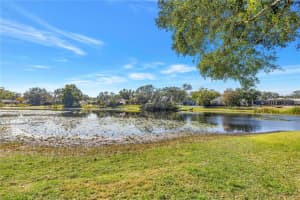 13216 FOREST HILLS DRIVE, TAMPA, FL 33612 - MLS#MFRTB8474568