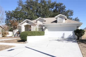 1414 NORWICK DRIVE, LUTZ, FL 33559 - MLS#MFRTB8474574