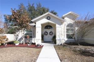 1414 NORWICK DRIVE, LUTZ, FL 33559 - MLS#MFRTB8474574