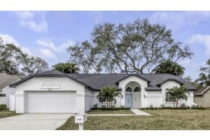 2617 Bellhurst Dr, DUNEDIN