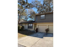 533 CURLEW PLACE, TARPON SPRINGS, FL 34689 - MLS#MFRTB8474591