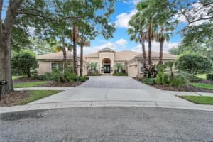 15101 KESTRELGLEN WAY, LITHIA, FL 33547 - MLS#MFRTB8474597