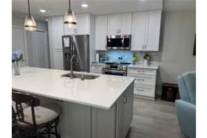 3553 FAIRWAY FOREST DRIVE, PALM HARBOR, FL 34685 - MLS#MFRTB8474612