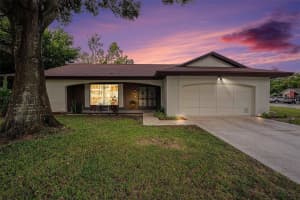 13013 SAWMILL WAY, HUDSON, FL 34667 - MLS#MFRTB8474615