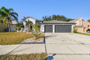 11528 ANDY DRIVE, RIVERVIEW, FL 33569 - MLS#MFRTB8474616