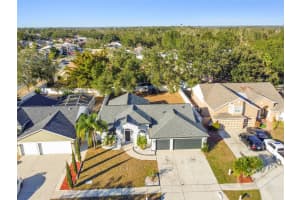 11528 ANDY DRIVE, RIVERVIEW, FL 33569 - MLS#MFRTB8474616