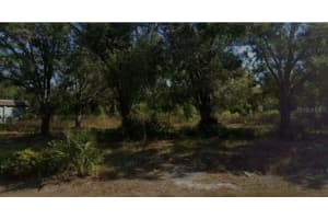 0 TIGER STREET, DADE CITY, FL 33523 - MLS#MFRTB8474647
