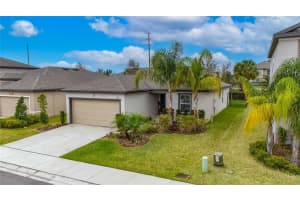 6927 SHELBY LYNN WAY, ZEPHYRHILLS, FL 33542 - MLS#MFRTB8474660
