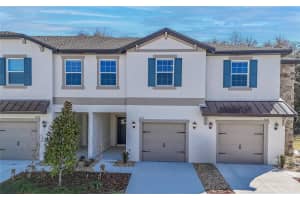 10116 Trumpet Honeysuckle Way, WESLEY CHAPEL