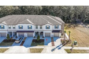 10116 TRUMPET HONEYSUCKLE WAY, WESLEY CHAPEL, FL 33545 - MLS#MFRTB8474675