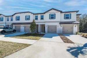 10116 TRUMPET HONEYSUCKLE WAY, WESLEY CHAPEL, FL 33545 - MLS#MFRTB8474675