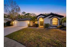 10006 Vista Pointe Dr, TAMPA