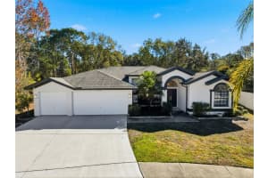 10006 VISTA POINTE DRIVE, TAMPA, FL 33635 - MLS#MFRTB8474678