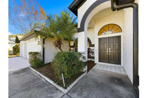 10006 VISTA POINTE DRIVE, TAMPA, FL 33635 - MLS#MFRTB8474678