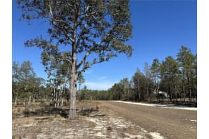 13183 HAVEN TRAIL, WEEKI WACHEE, FL 34614 - MLS#MFRTB8474683