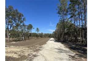 13183 HAVEN TRAIL, WEEKI WACHEE, FL 34614 - MLS#MFRTB8474683