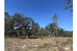 13183 HAVEN TRAIL, WEEKI WACHEE, FL 34614 - MLS#MFRTB8474683