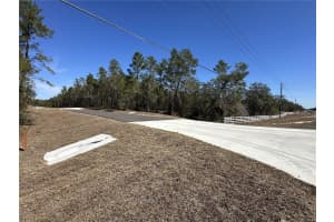 13183 HAVEN TRAIL, WEEKI WACHEE, FL 34614 - MLS#MFRTB8474683