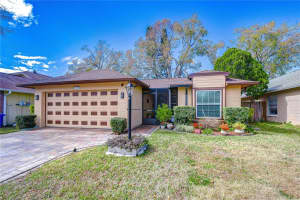 12722 DUNHILL DRIVE, TAMPA, FL 33624 - MLS#MFRTB8474695