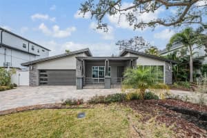 4909 DRYAD STREET, TAMPA, FL 33629 - MLS#MFRTB8474713