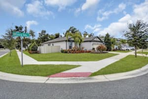 2873 DOLORES HOME AVENUE, VALRICO, FL 33594 - MLS#MFRTB8474737