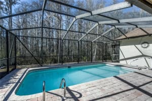 5045 MUSSELSHELL DRIVE, NEW PORT RICHEY, FL 34655 - MLS#MFRTB8474739