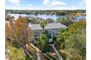 7240 BANK DRIVE, TAMPA, FL 33617 - MLS#MFRTB8474785