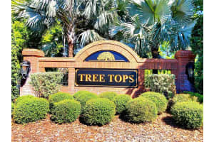 10004 TREE TOPS LAKE ROAD, TAMPA, FL 33626 - MLS#MFRTB8474861