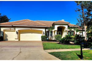 10004 TREE TOPS LAKE ROAD, TAMPA, FL 33626 - MLS#MFRTB8474861