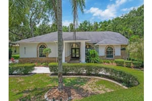 8711 CRESCENT FOREST BOULEVARD, NEW PORT RICHEY, FL 34654 - MLS#MFRTB8474866