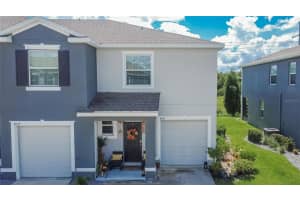 8647 Falling Blue Pl, RIVERVIEW