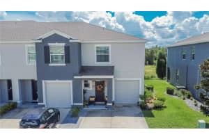 8647 FALLING BLUE PLACE, RIVERVIEW, FL 33578 - MLS#MFRTB8474876
